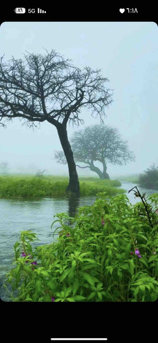 06256213 B459 4205 A302 1C502043E816.jpg