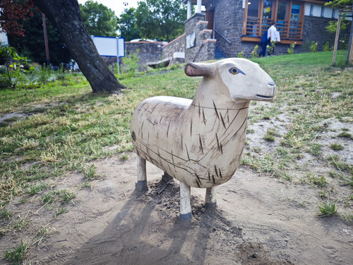 IMG 20230722 172713.jpg