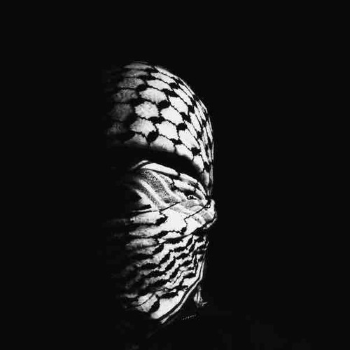 DF6B2C8C 268F 465F ADD2 FA3E0B259DEE.jpg