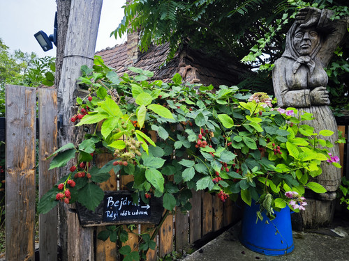 IMG 20230722 174429.jpg