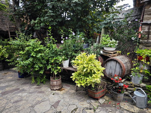 IMG 20230722 174622.jpg