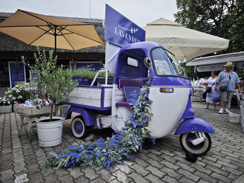 IMG 20230722 174826.jpg