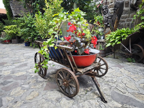 IMG 20230722 174635.jpg