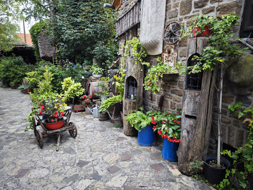 IMG 20230722 174606.jpg