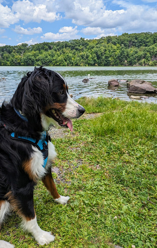 PXL 20230722 173802757.MP~2