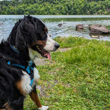 PXL 20230722 173802757.MP~2