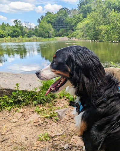 PXL 20230722 171514017.MP~2