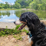 PXL 20230722 171514017.MP~2