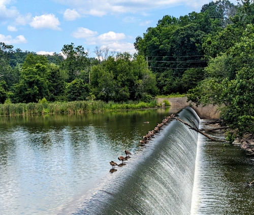 PXL 20230722 171648176~2