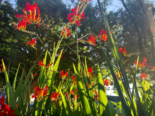 IMG 20230723 194753044 HDR.jpg