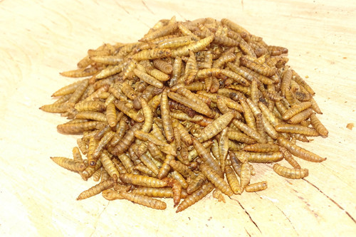 4260753580136n u a.jpg