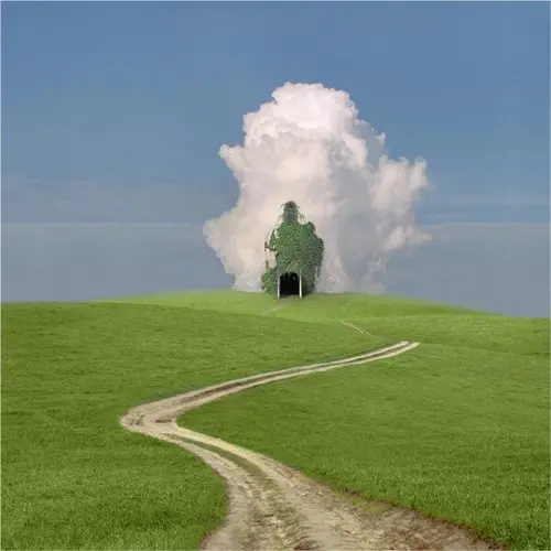 14026162 shmdalsh xl.webp