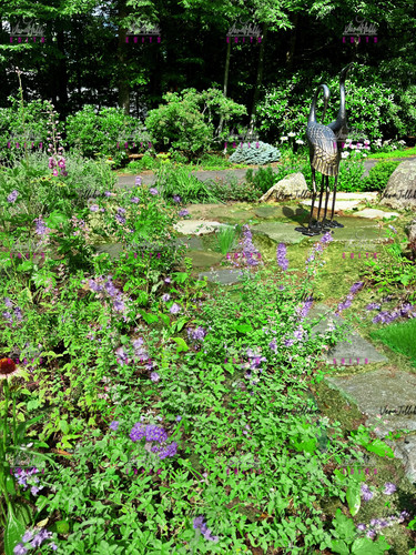 miavk404lydb1 copy.jpg