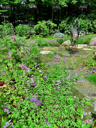 miavk404lydb1 copy.jpg