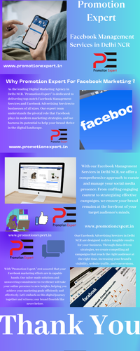 Promotion Expert Facebook Management Services Delhi NCR Facebook Services.png