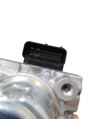 PhotoRoom 20230724 140459.png