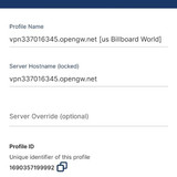 vpn1