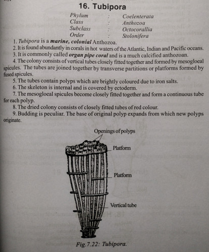 IMG 20230713 064504.jpg