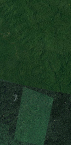 1689934785029.jpg