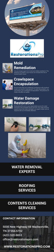 Mold Remediation, Fire and Water Damage Restoration in Madisonville.jpg