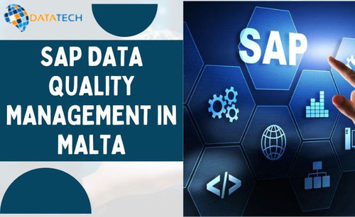 SAP Data Quality Management in Malta.jpg