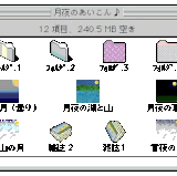 image297
