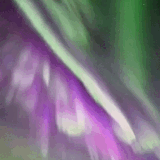 VID 20230106 181235 800.gif