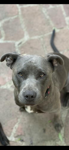 D8D34B34 C976 4F36 A80F 9FC935473D62.png