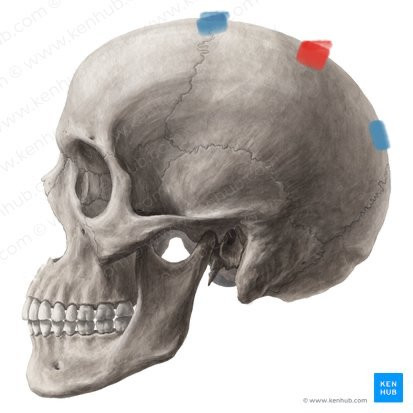 D6105CAD 80C9 492E A18B 9304A99CDAB4.jpg