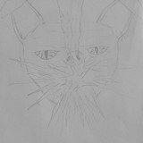 CBAPKB799fB66BAXtYTNRdFd