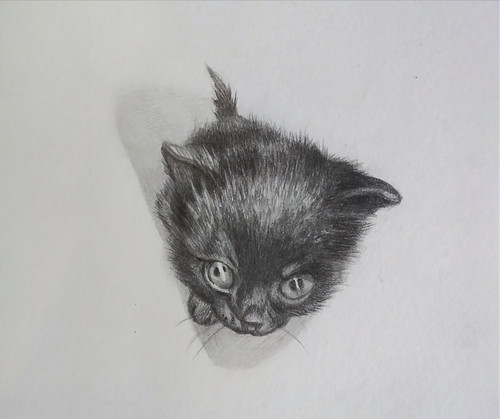 IMG 20230106 181326.jpg