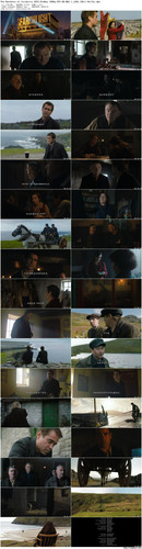 The.Banshees.of.Inisherin.2022.BluRay.1080p.DTS HD.MA5.1.x265.10bit BeiTai preview.jpg