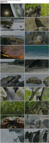 BBC.Planet.Earth.II.2016.EP01.UHD.BluRay.2160p.2Audio.TrueHD.5.1.x265.10bit.HDR BeiTai.mkv.jpg