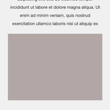 Geppert Mockup 1.jpg