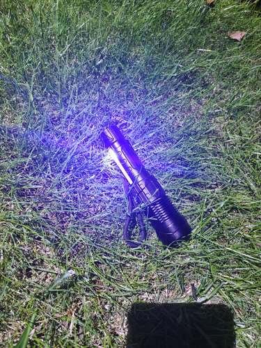 S0939d81760d14b188961b6fa36a69091C.png