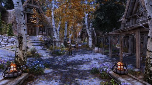 Whiterun shadows.jpg