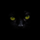 3f08a730eb5803260db607b3515ac204.png
