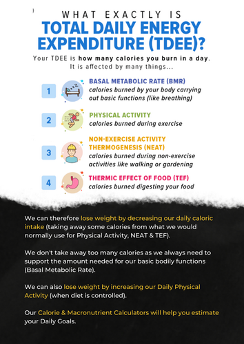 Calories Intro (3).png