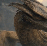 syrax dragon.gif
