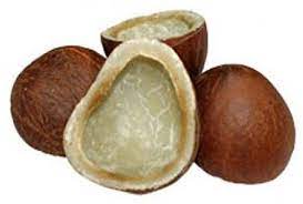 dry coco.jpg