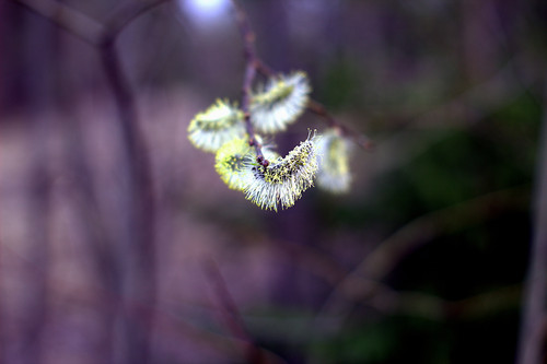 IMG 4901.jpg