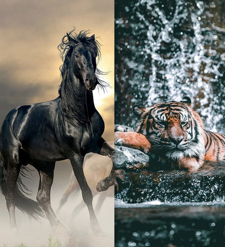 ' Glorified is The Mighty Creator '.jpg