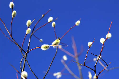 IMG 4840.jpg