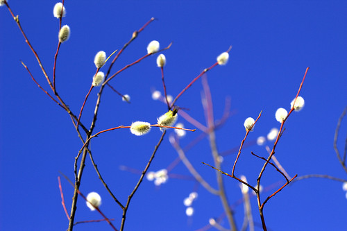 IMG 4839.jpg