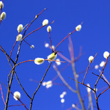 IMG 4839
