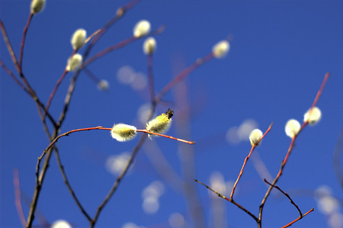 IMG 4841.jpg
