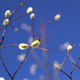 IMG 4841