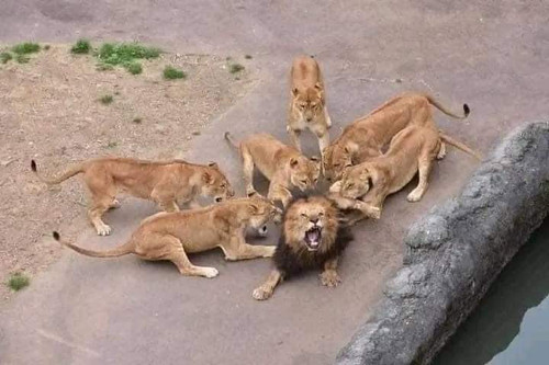 FB IMG 1683394452241.jpg