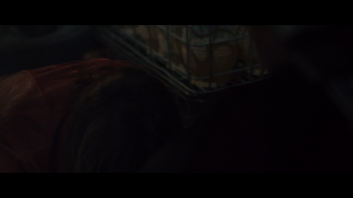 00300.thumb 03.png
