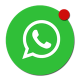 whatsapp fokusplay